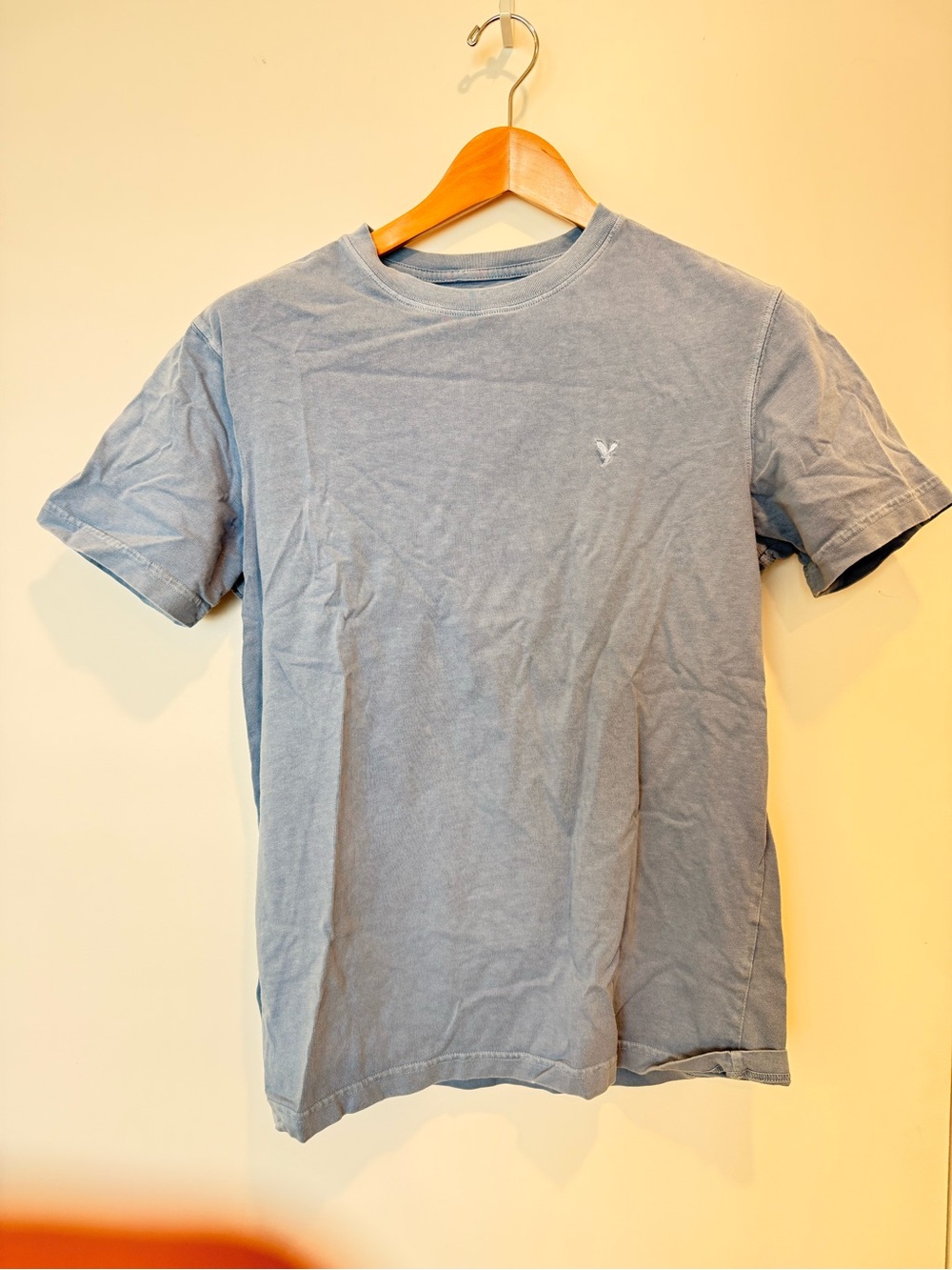 American Eagle Outfitters Men's Light Blue Crew Neck Tee